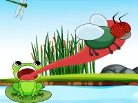 image bg Hungry Frog