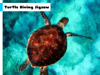 image bg Turtle Diving Jigsaw
