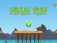 Ninja Run Adventure image