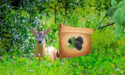 Return To Alsunga Forest image