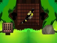 image bg Black Bird Escape