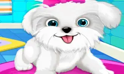 Puppy: Pet Salon  amp; Dog Daycare image