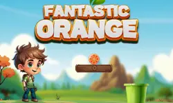 Fantastic Orange image