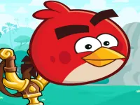 image bg Angry Birds Casual