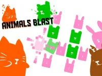image bg Animals Blast