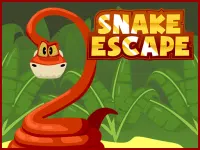 image bg Snake Escape