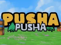 Pusha Pusha image