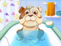 image bg Animal Daycare