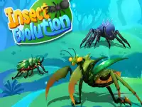 Insect Evolution image
