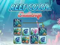 image bg Reef Color Challenge