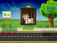 image bg Cow Escape