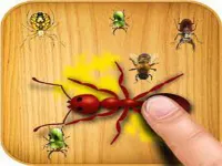 image bg Ants Touch