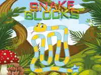 image bg Snake Blocks