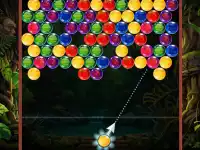 image bg Jungle Bubble Drop
