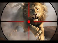 wild life hunting image