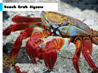 Beach Crab Jigsaw image