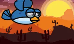 Equation Bird Flyer image