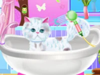 image bg Pet Groomer