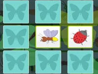 image bg Kids Memory - Insects