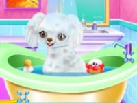 image bg My New Poodle Friend - Pet Care Game
