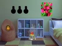 image bg Couple Parrot Escape