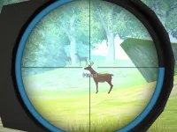 Hunter image