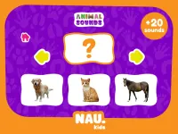 Animal Sounds image
