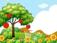 image bg Hoops  amp;amp; Fruits