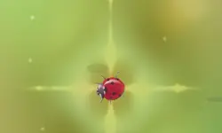 Pest Control image