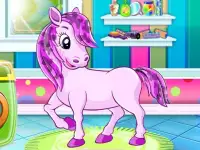 Pet Salon image