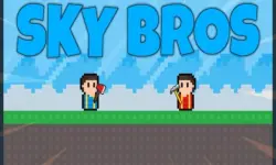 Sky Bros image