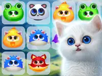 image bg Kitty Jewel Quest