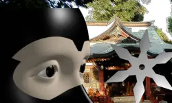 Ninja Academy image