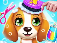image bg Puppy Friends Pet Dog Salon