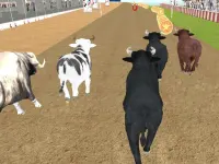 image bg Bull Racing