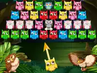 Owl Shooter image