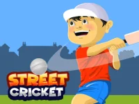 image bg Street Cricket