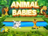 Animal Babies image