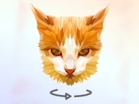 image bg Poly Art