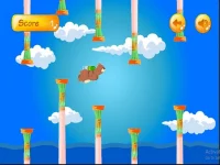 image bg Bear Flight