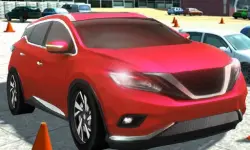 CIty Stunt Driving image