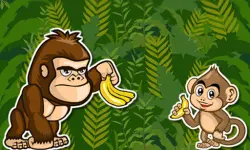 Monki  amp;amp; Goru image