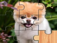 image bg Cute Dogs Jigsaw Puzlle