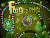 image bg FROGTASTIC Zumba