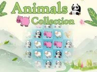 image bg Animals Collection
