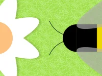 image bg Beenvaders