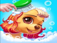Puppies image