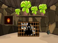 image bg Rescue The Raccoon