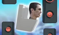 Flopppy Skibidi image