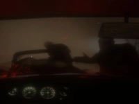 image bg Spooky Jungle Safari